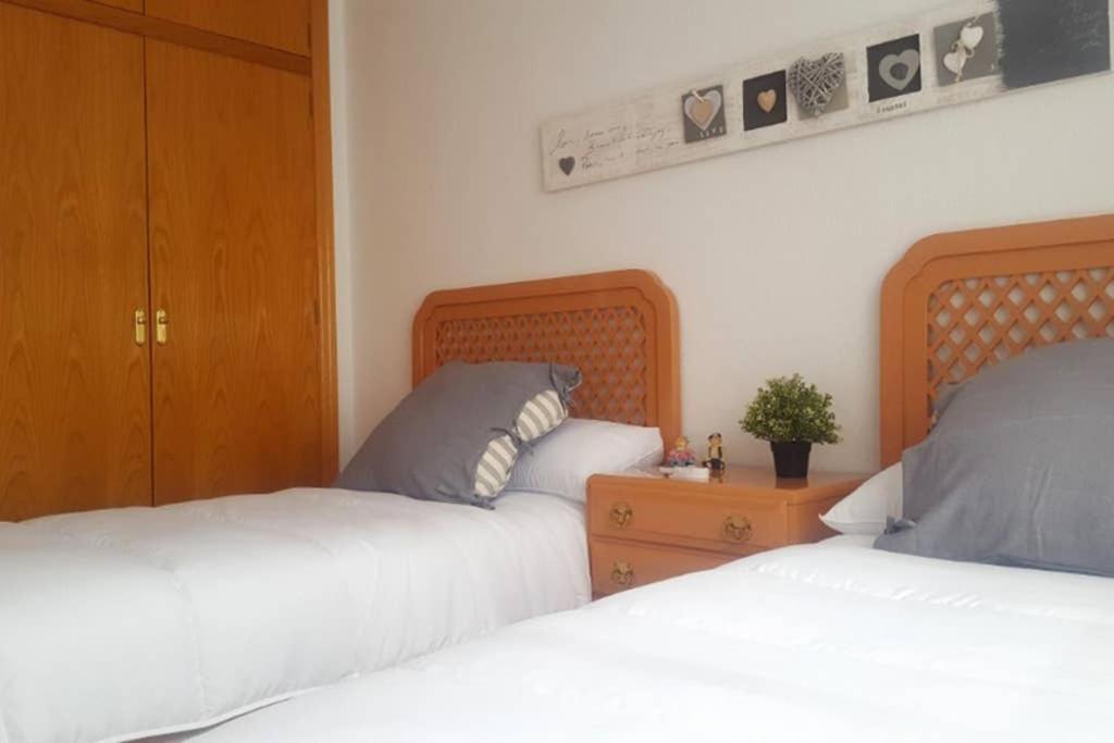 Encantador Apartamento En El Centro Lägenhet Alicante Exteriör bild